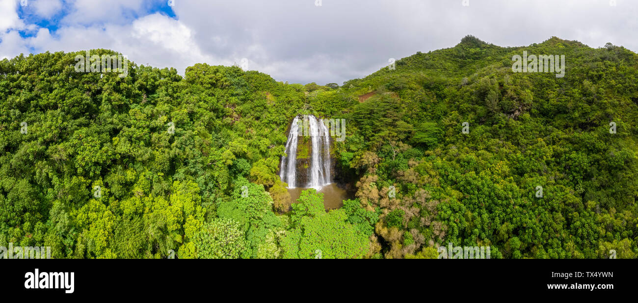 Stati Uniti d'America, Hawaii, Kauai, Stato Wailua Park, Cascate Opaekaa, vista aerea Foto Stock