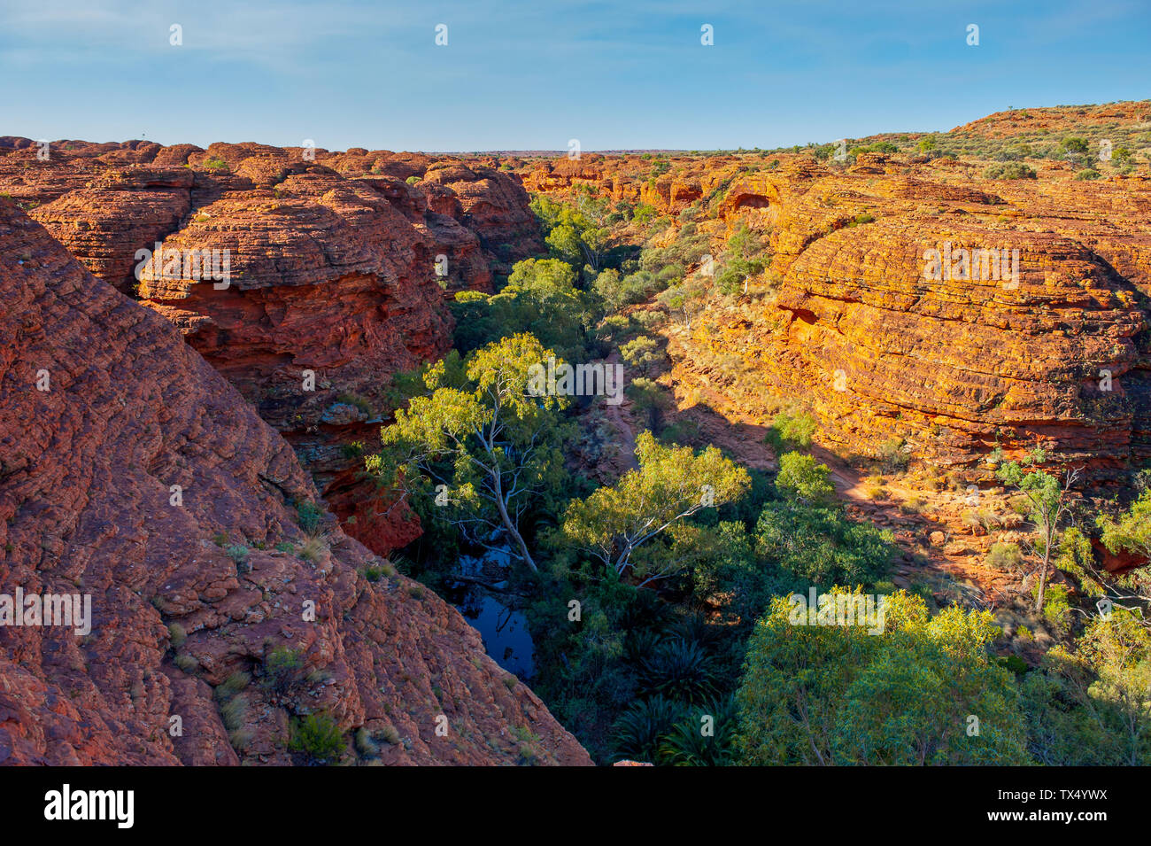 Kings Canyon, Watarrka National Park, il Territorio del Nord, l'Australia Foto Stock