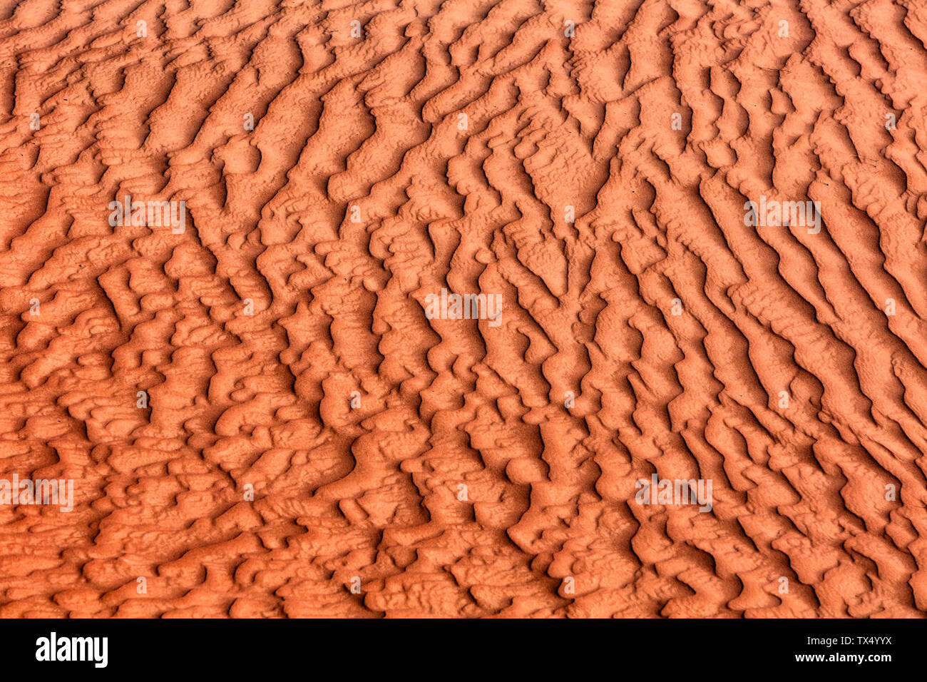 Oman, sabbia ondulata su una duna a pieno frame Foto Stock