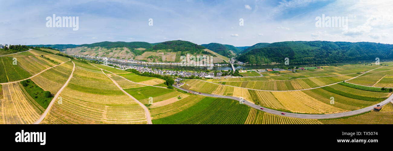 In Germania, in Renania Palatinato, Zell an der Mosel, vigneti Foto Stock