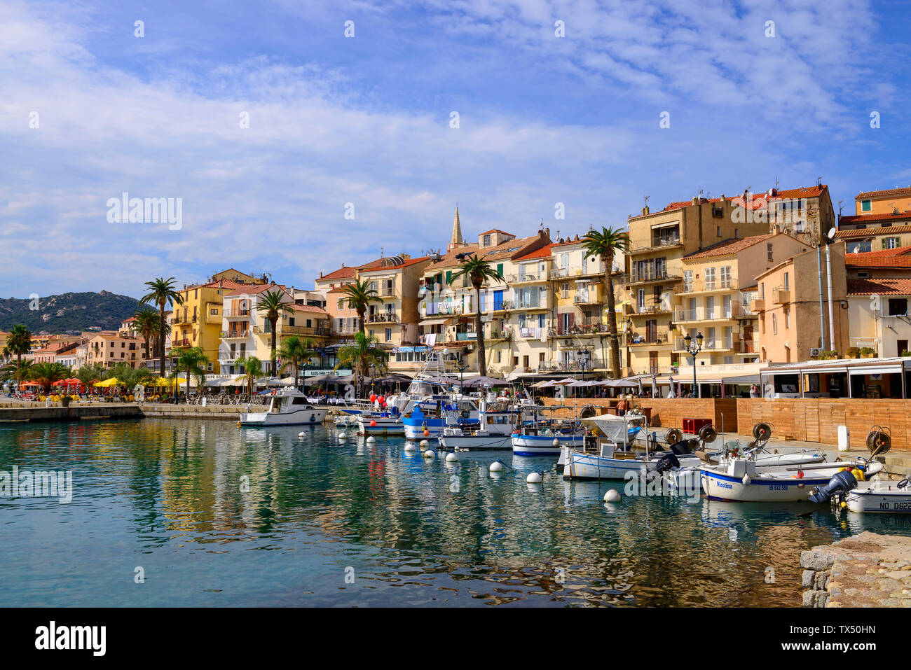Francia, Corsica, Calvi, barche nel porto Foto Stock