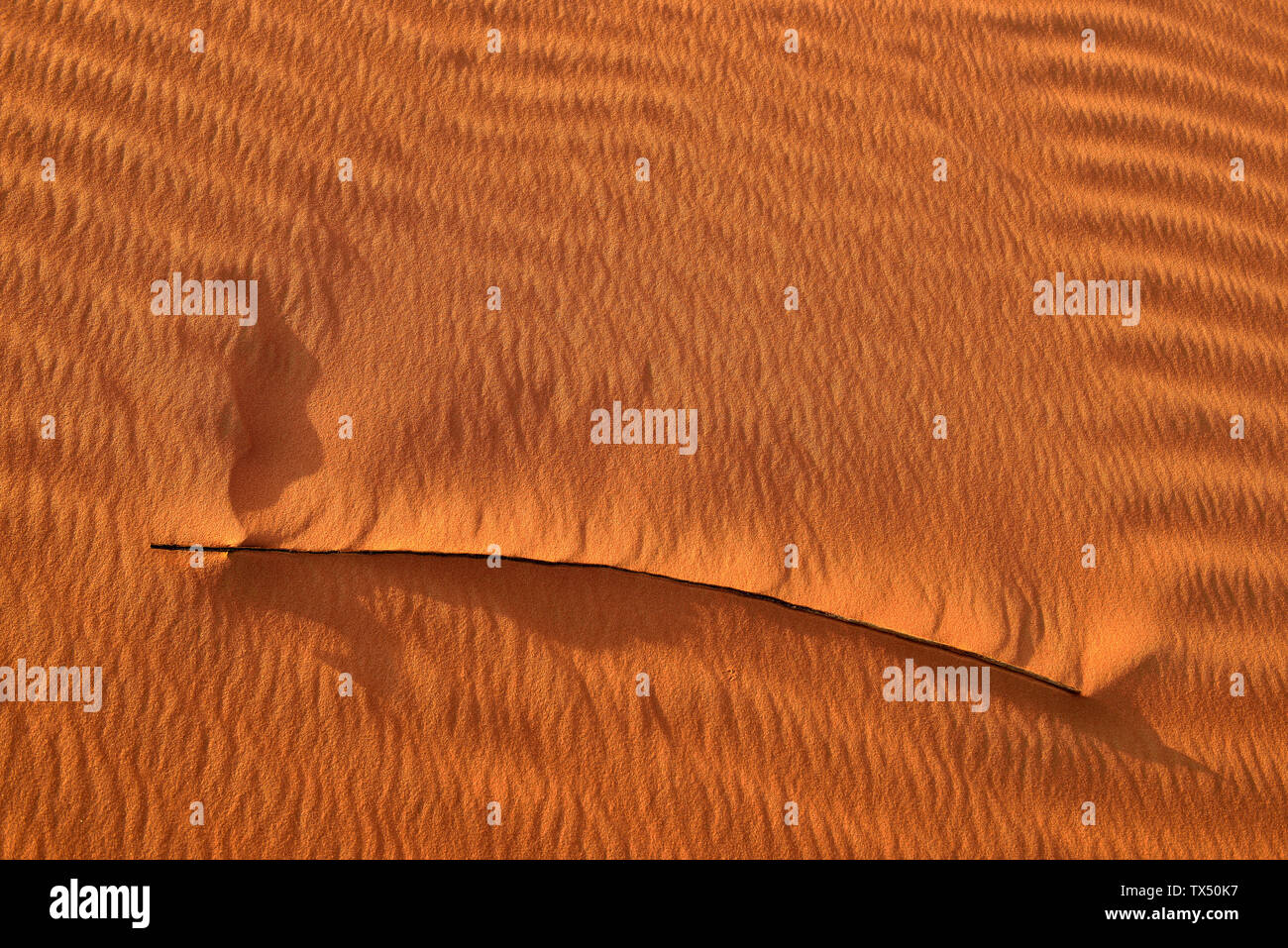 Emirati Arabi Uniti, Rub' al Khali, deserto di sabbia e ripple marchi e lama essiccati di erba Foto Stock