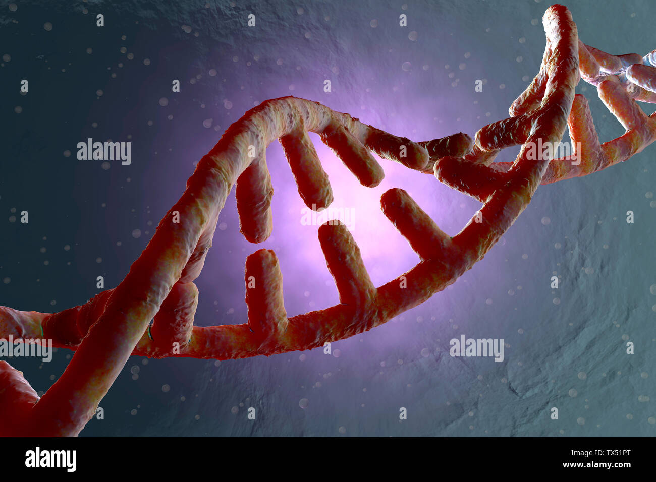 3D reso illustrazione, la visualizzazione di un DNA a doppia elica Foto Stock