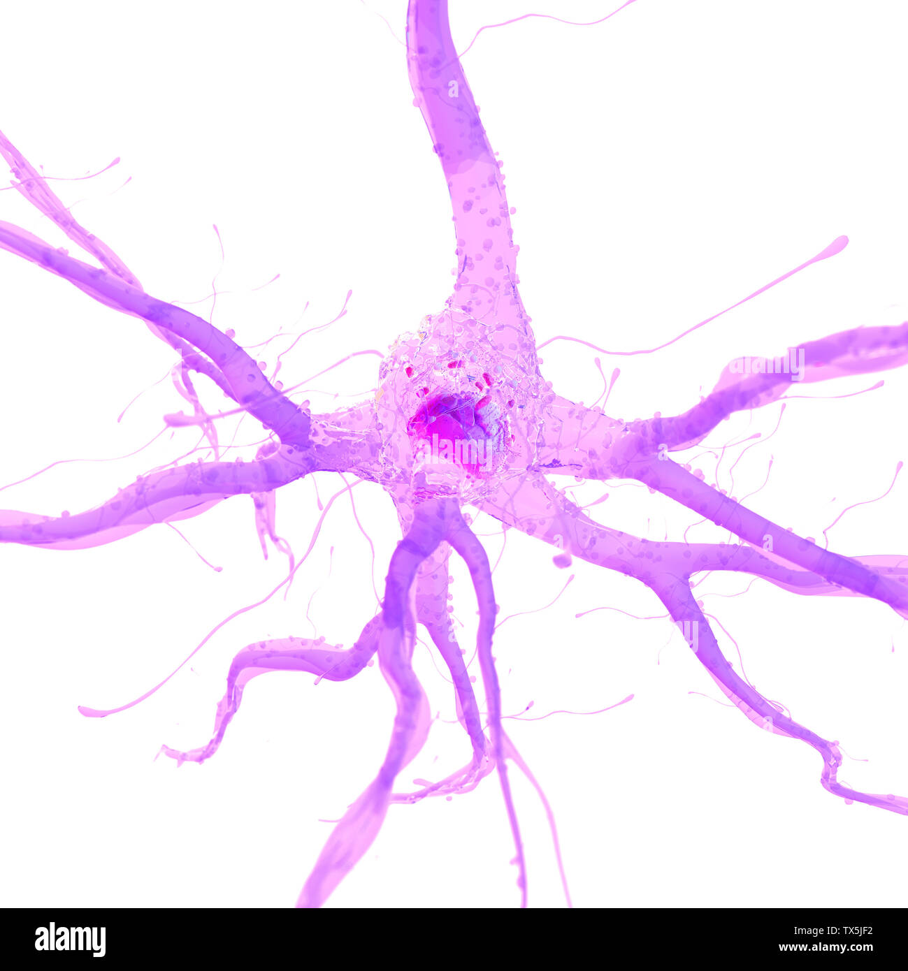 3D Rendering accurato dal punto di vista medico illustrazione di una cellula nervosa Foto Stock