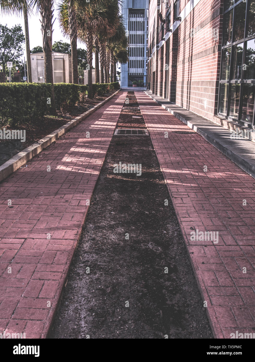 Una strada laterale nel centro della città bella, downtown Orlando, Florida. Foto Stock