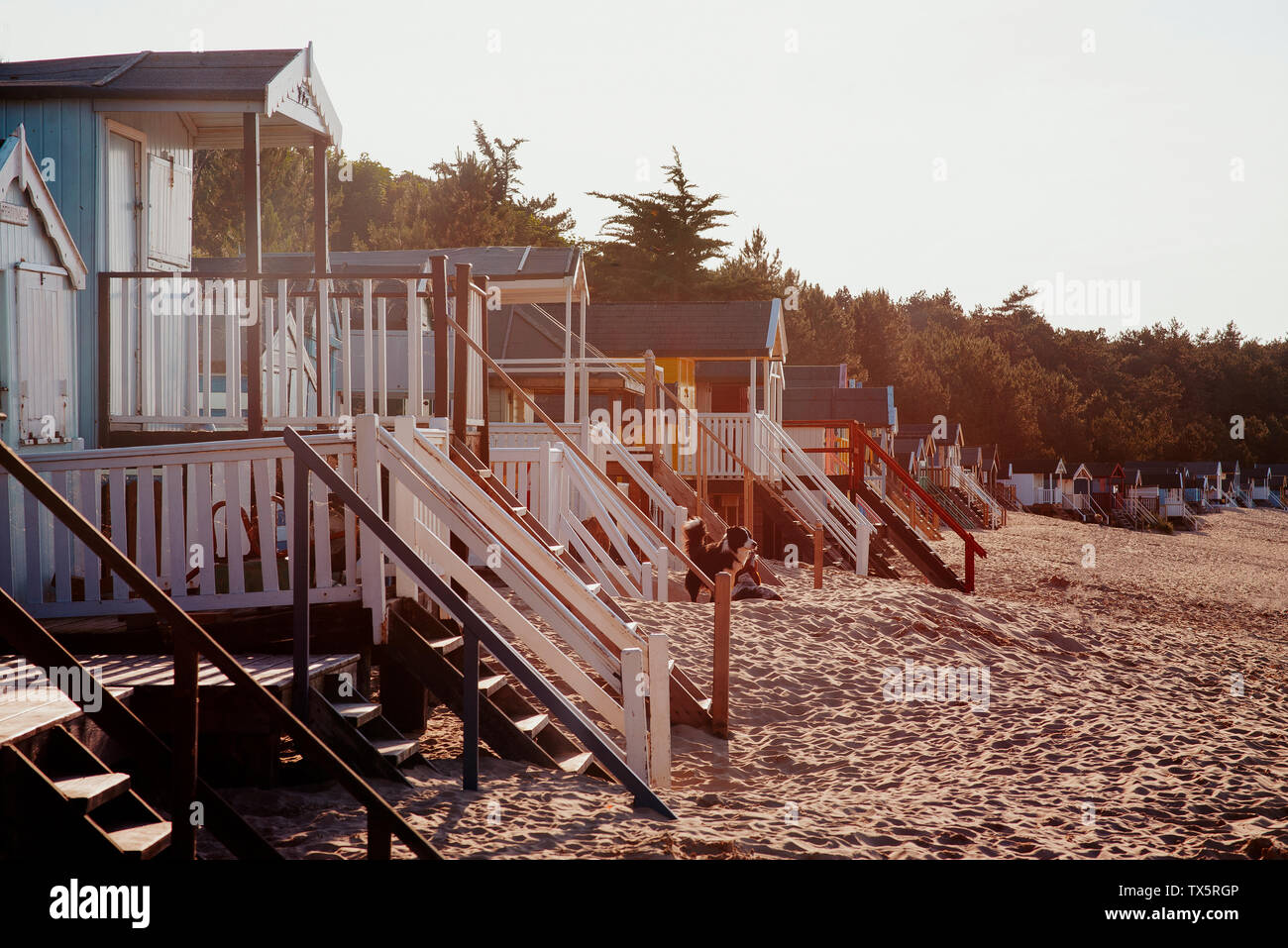 Cabine in legno a Wells accanto al mare, Norfolk Foto Stock