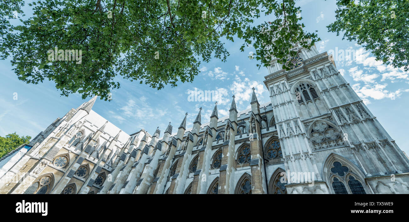 L'Abbazia di Westminster, circondato da alberi, Londra in estate, REGNO UNITO Foto Stock