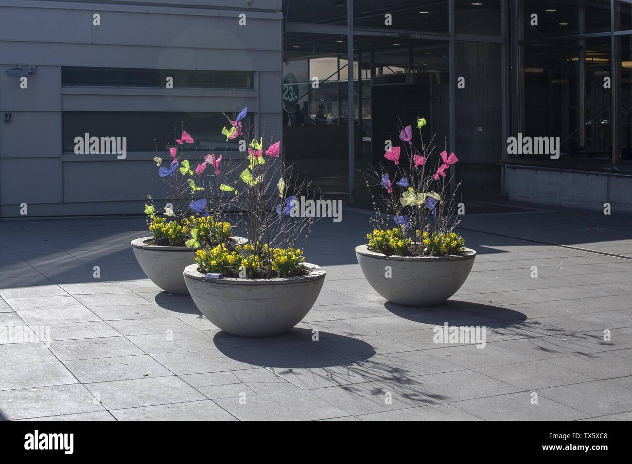 ARLANDA di Stoccolma, Svezia - 16 Aprile 2019: decoro esterno con le piume di Pasqua in stark sole primaverile su Aprile 16, 2019 in Arlanda di Stoccolma Foto Stock