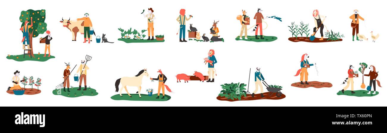 Coltivazione di raccolti, alimentazione di animali da allevamento, la mungitura mucca, raccogliere il raccolto, raccogliendo mele, portando frutti, lavorando sul trattore illustrazione vettoriale. Set di agricoltori o i lavoratori agricoli flat cartoon. Illustrazione Vettoriale