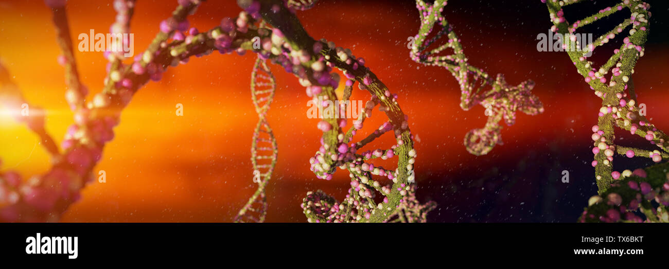 Molecola di DNA a doppia elica che trasportano le istruzioni genetiche (3d la scienza illustrazione banner) Foto Stock