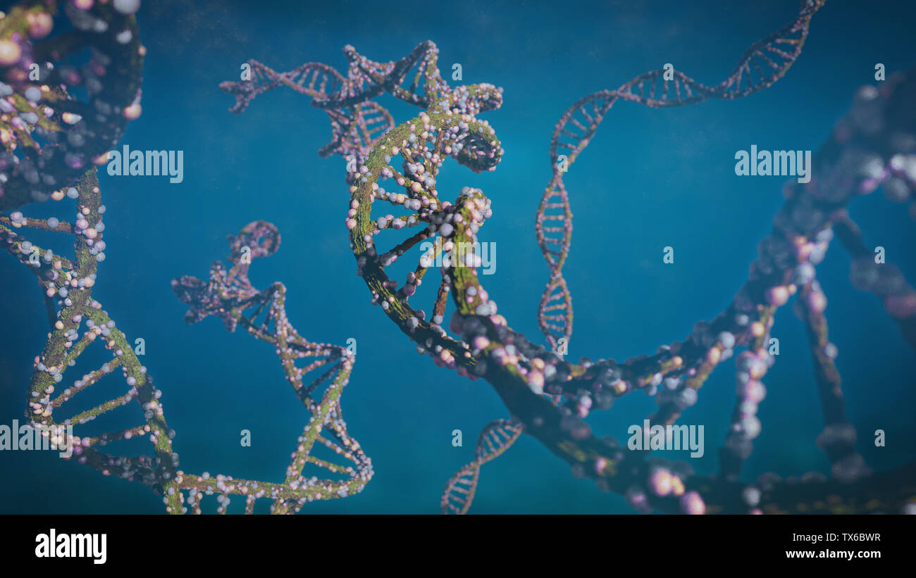 Molecola di DNA a doppia elica che trasportano le istruzioni genetiche (3d la scienza illustrazione) Foto Stock