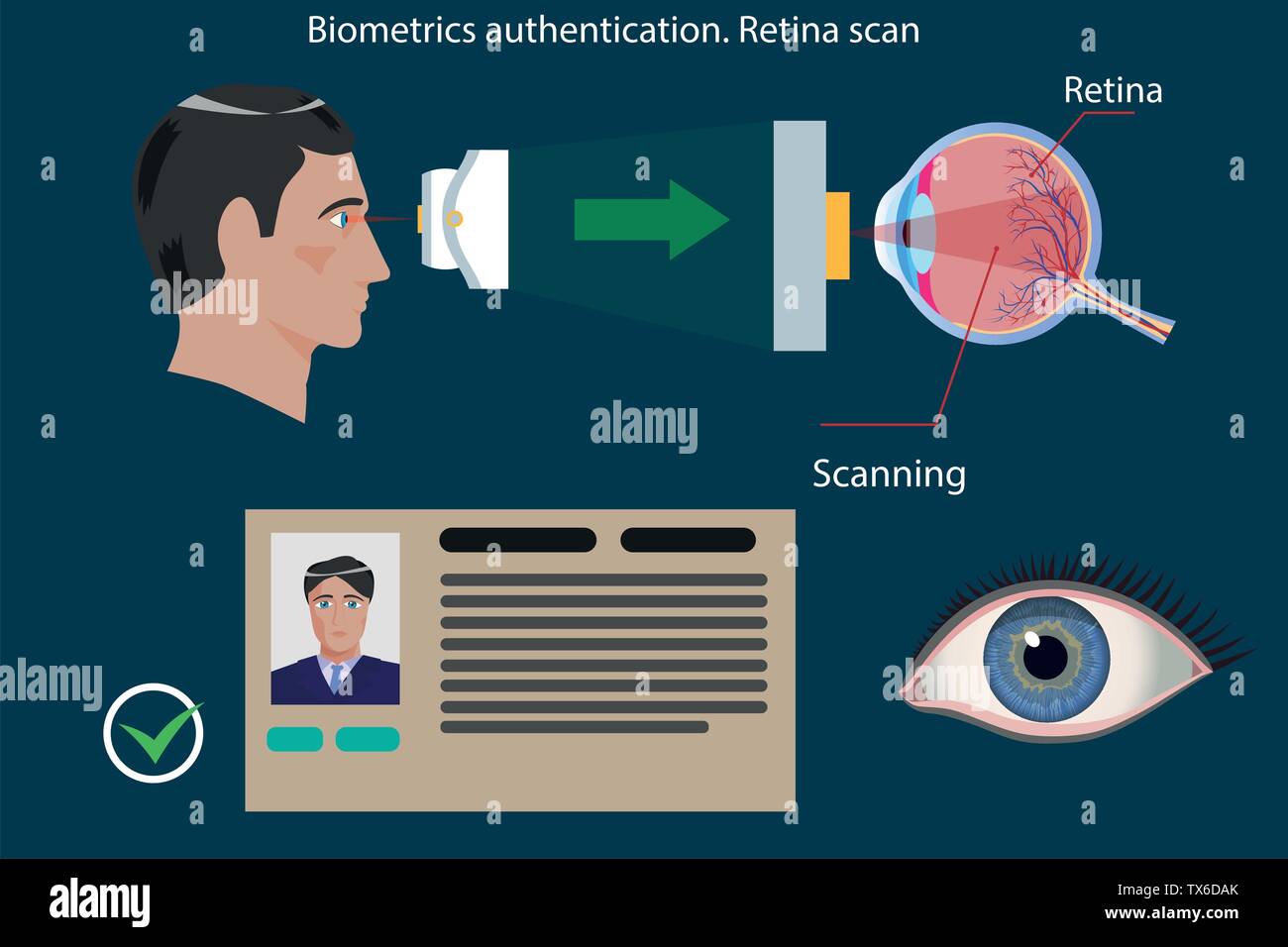 La scansione della retina tipo di autenticazione biometrica - concetto illustrazione vettoriale Illustrazione Vettoriale