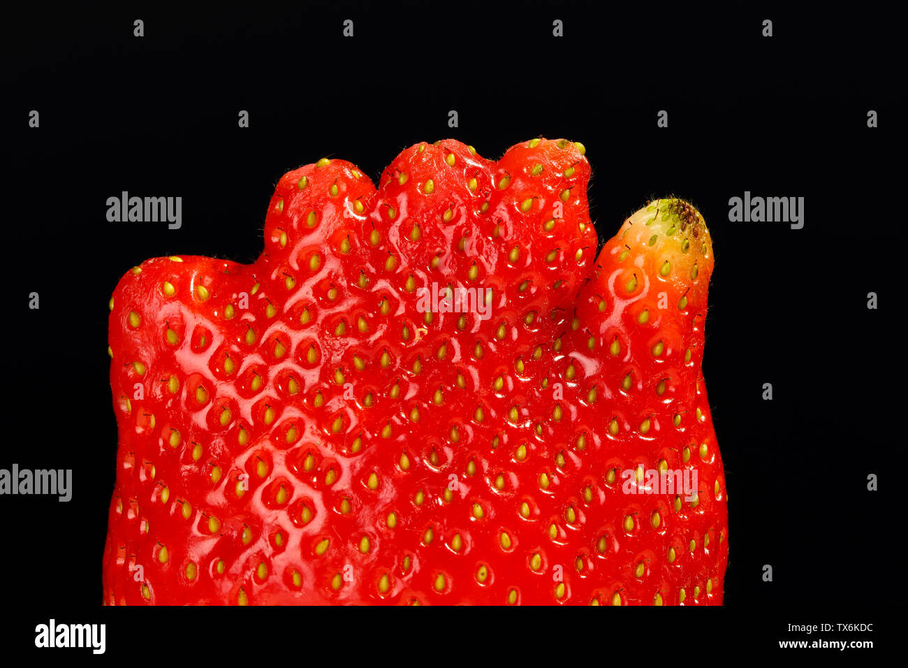 Extreme close up di un insolito fragole guardando come mano umana o dita del piede su sfondo nero Foto Stock