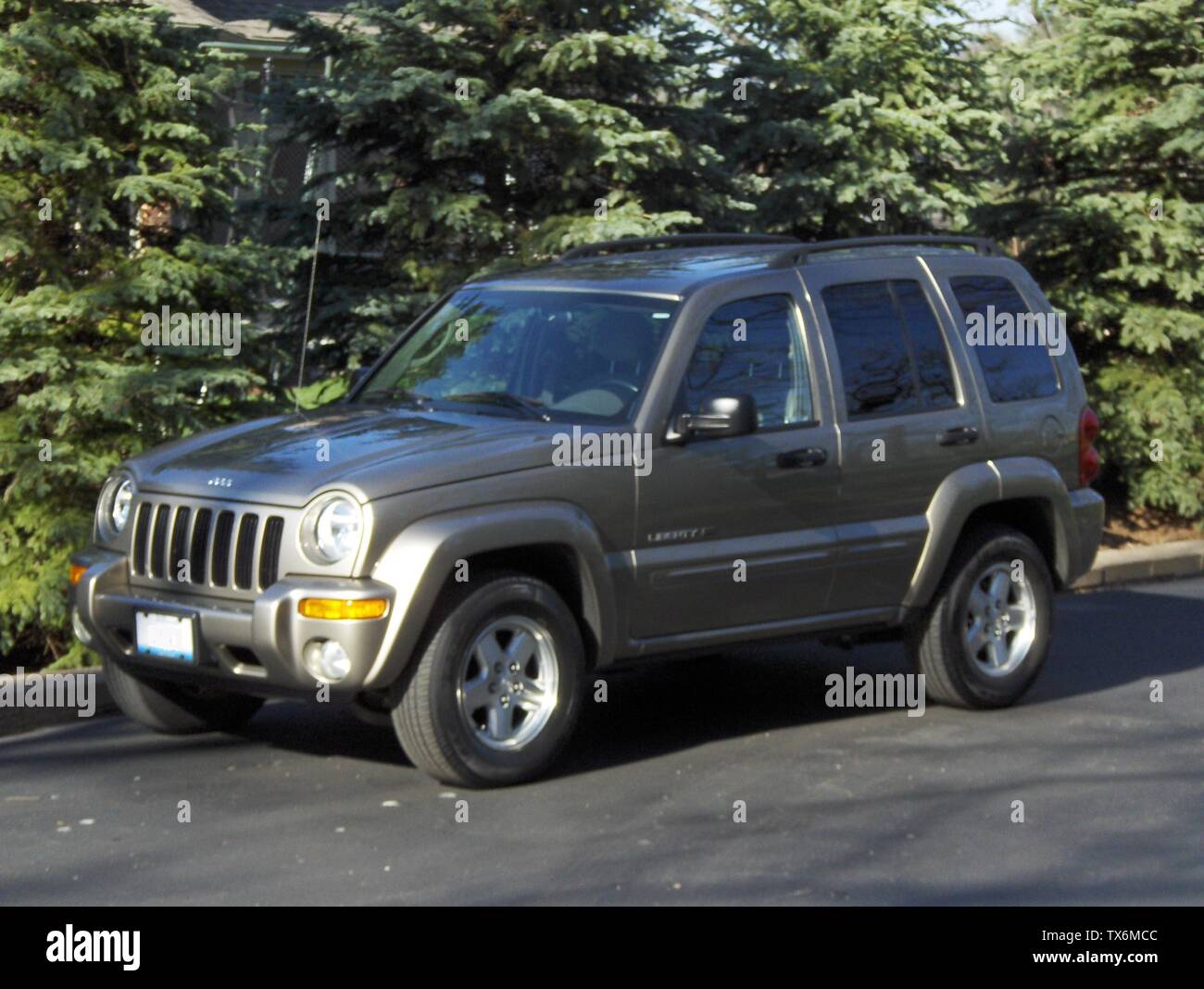Linglese 2003 Jeep Liberty Limited Edition Colore Light