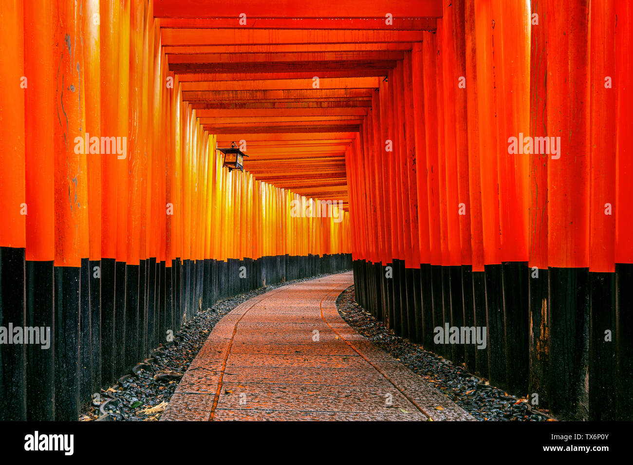 Il red torii gates passerella a fushimi inari Taisha a Kyoto, in Giappone. Foto Stock