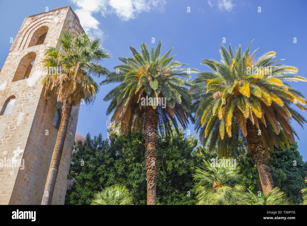 Vista storica del campanile della chiesa di San Giovanni degli Eremiti a Palermo e in Sicilia, con un bellissimo giardino verde e le palme Foto Stock