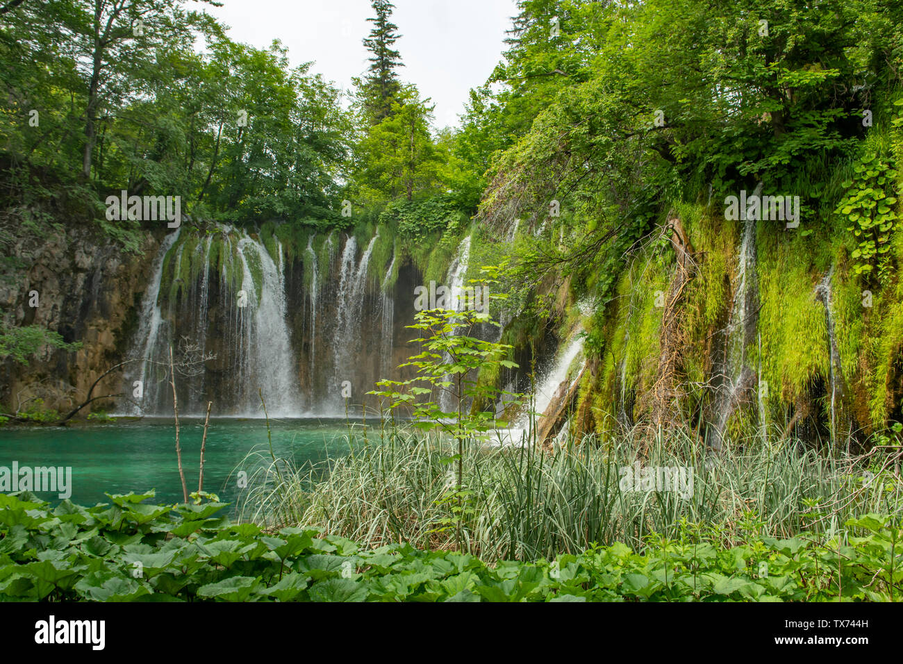 Galovacki Buk cascata, il Parco Nazionale dei Laghi di Plitvice, Croazia Foto Stock