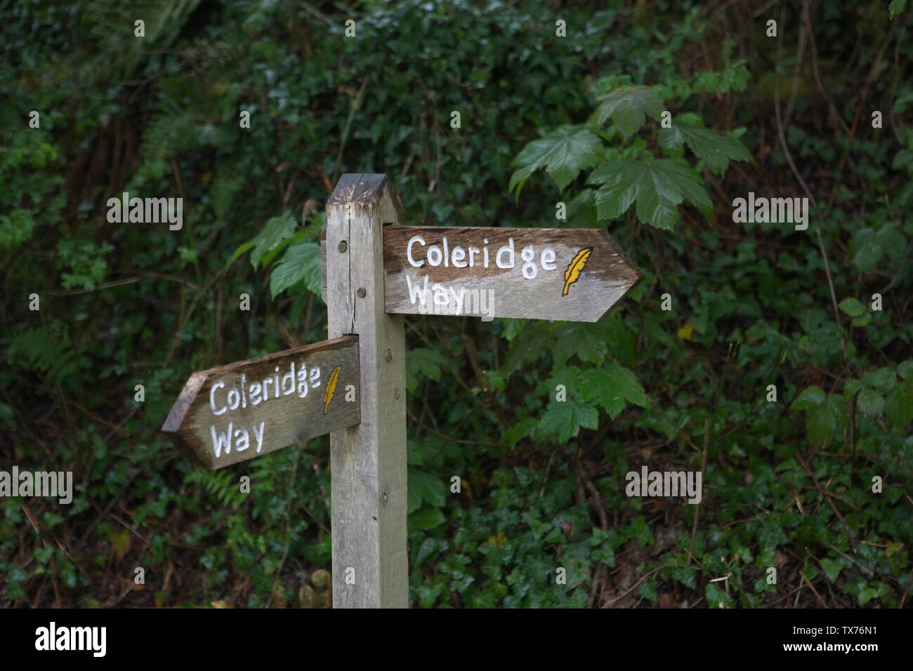 Coleridge modo segno che indica il percorso del poeta romantico Samuel Taylor Coleridge Foto Stock