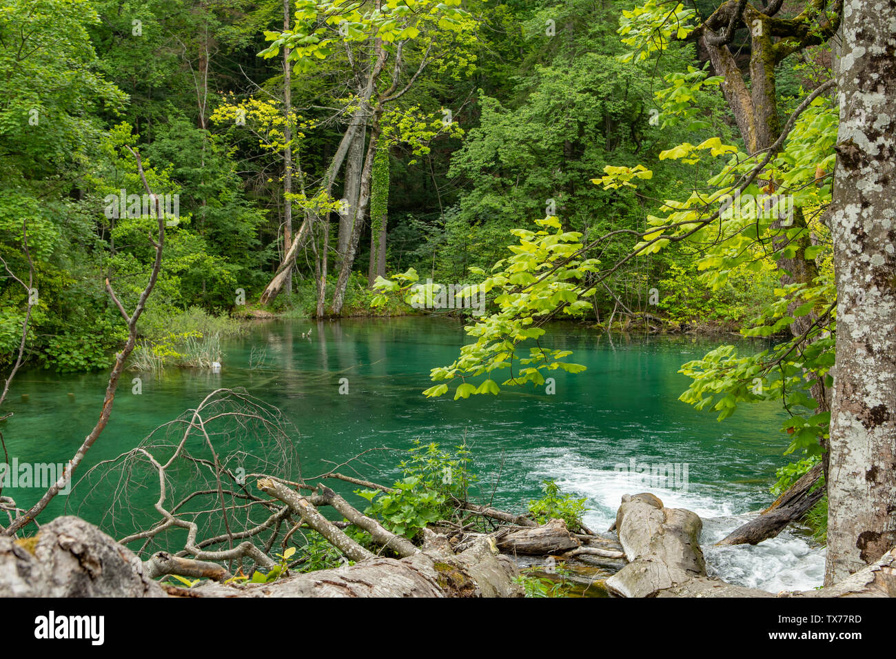 Lago Batinovac, il Parco Nazionale dei Laghi di Plitvice, Croazia Foto Stock