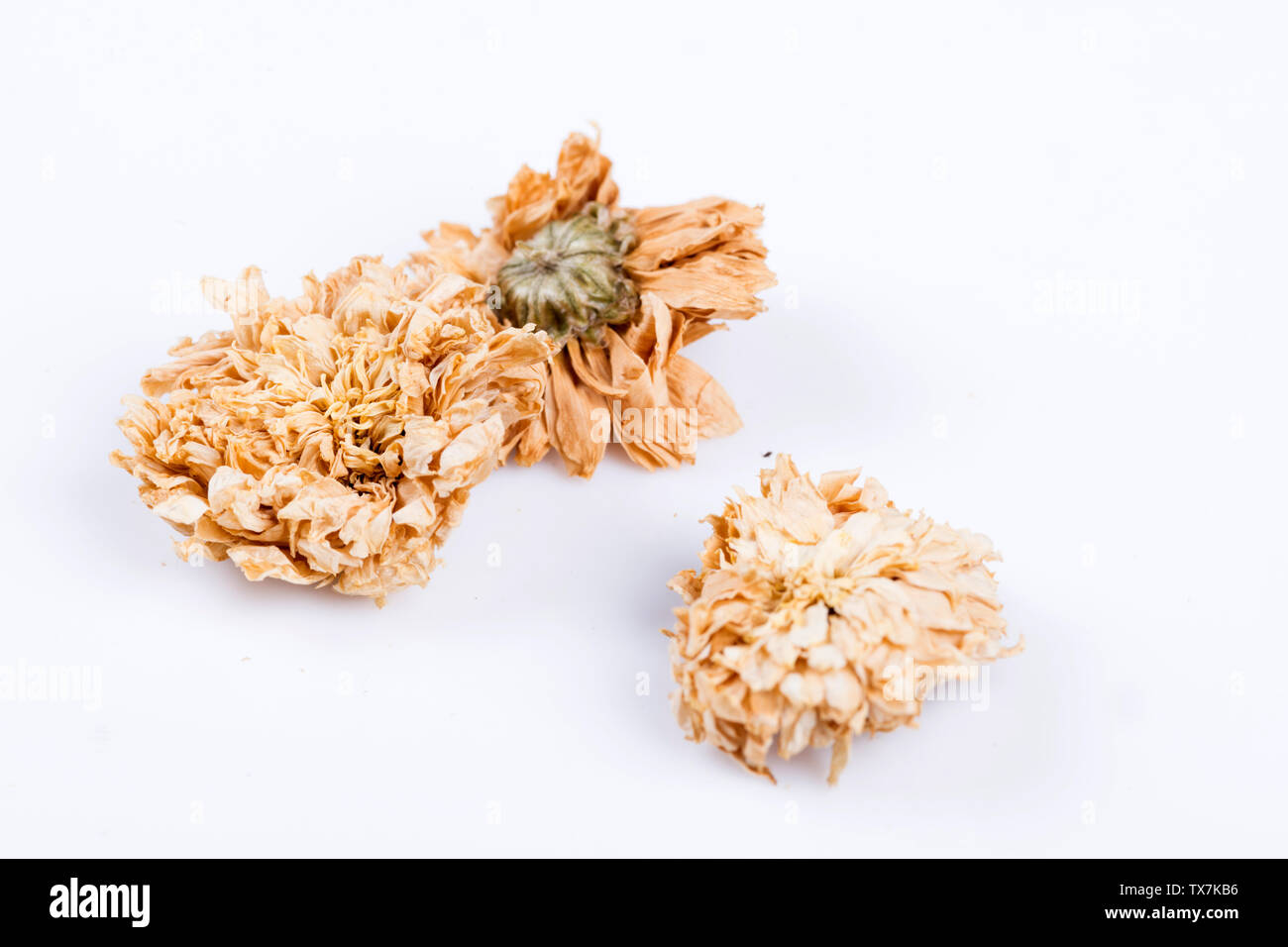 tè di camomilla Foto Stock