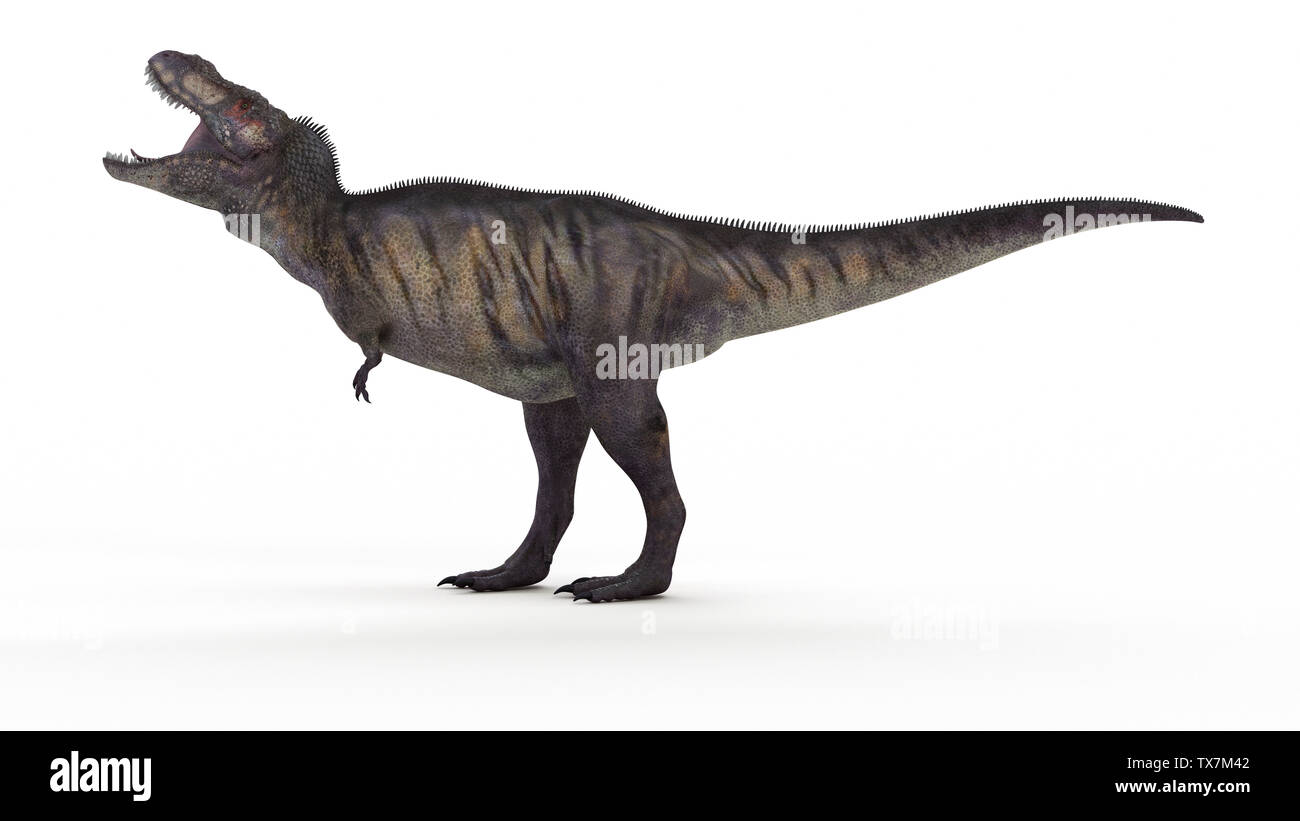 3d reso illustrazione di un T-Rex Foto Stock
