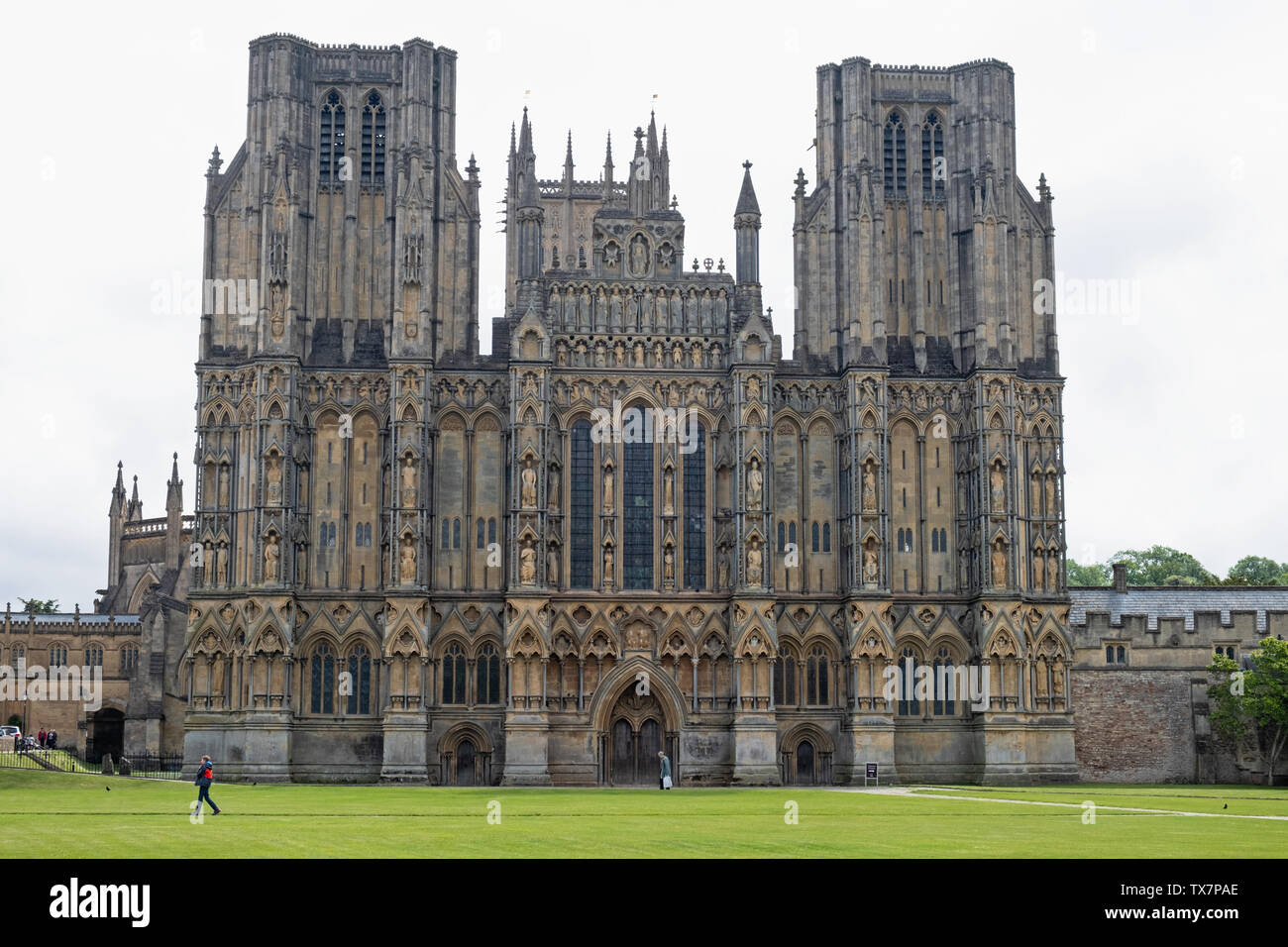 Pozzetti, Inghilterra - Giugno 12, 2019: il fronte ovest della medievale Cattedrale Anglicana come visto dalla cattedrale verde Foto Stock