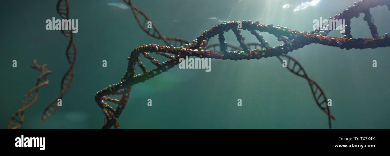 Molecola di DNA a doppia elica che trasportano le istruzioni genetiche (3d rendering scienza banner) Foto Stock
