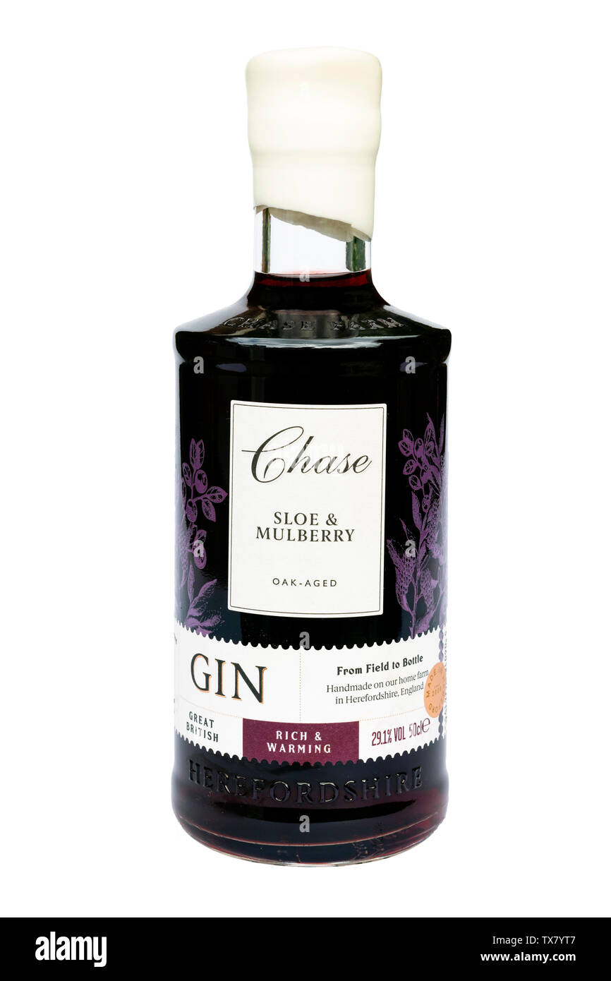 Bottiglia di sloe gin, tagliate o isolato su uno sfondo bianco, UK. Sloe e Mulberry Chase distillery gin dal Herefordshire. Foto Stock