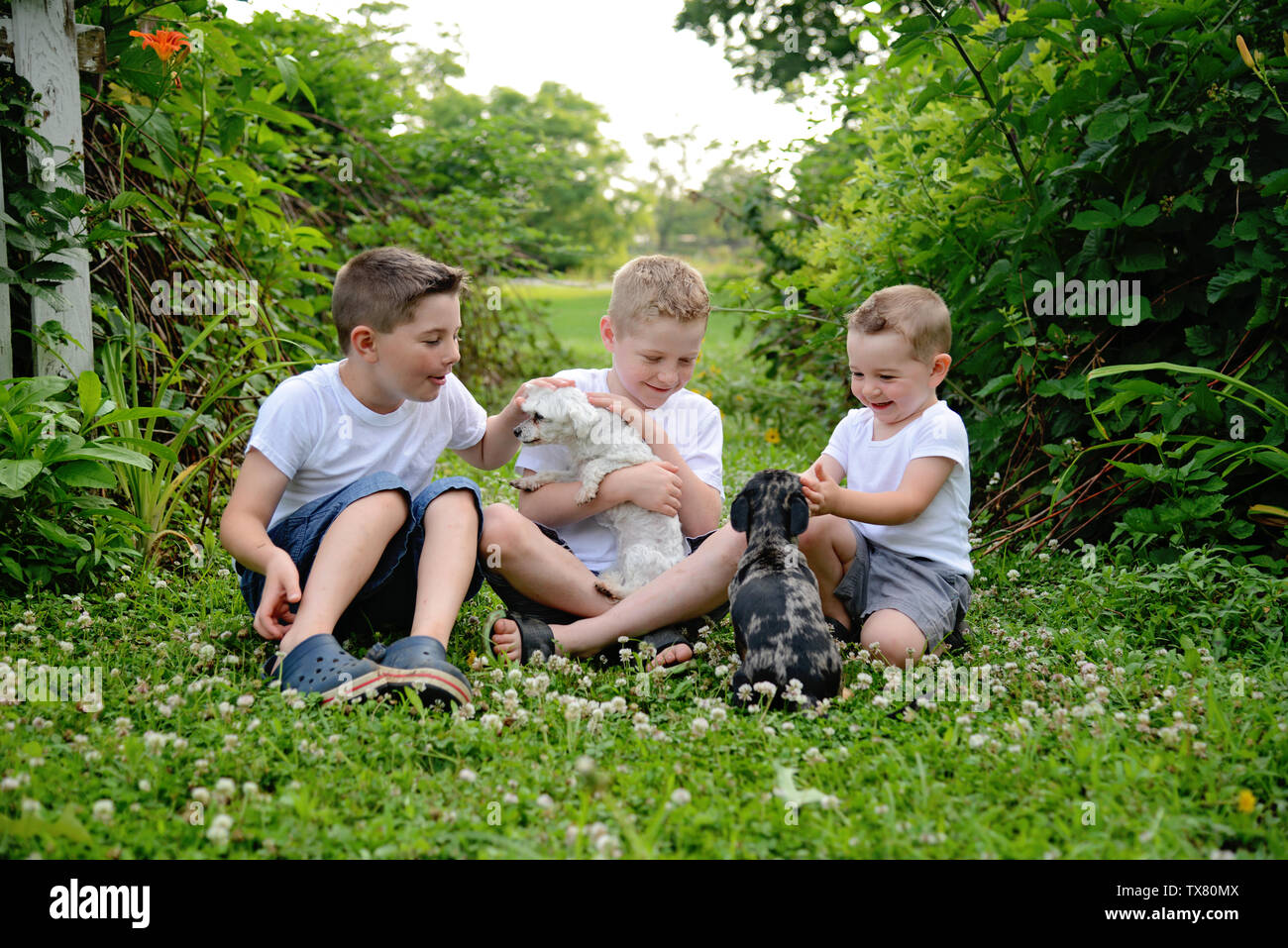 Tre ragazzi seduti con i loro cani Foto Stock