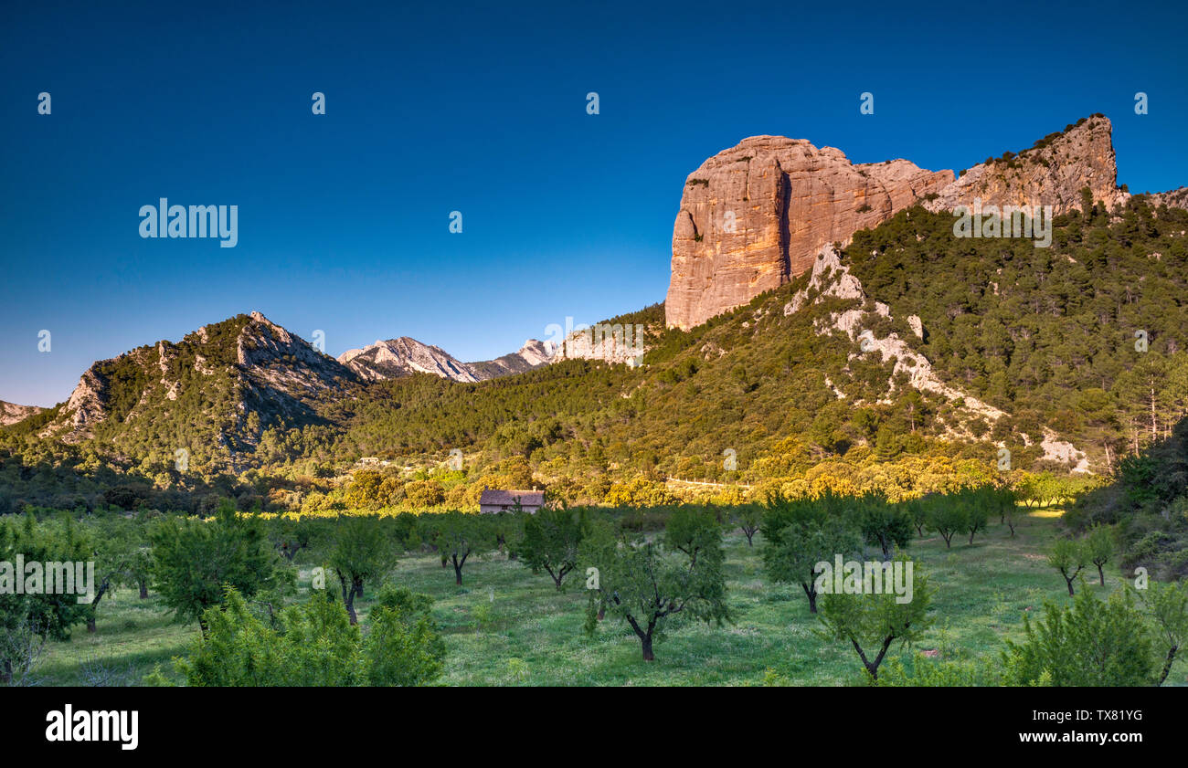 Roques de Benet, vista al tramonto dalla strada alla zona Recreativa Ateus Els, Barranc de Vall d'uixo, al Parque Natural dels Ports, Catalogna, Spagna Foto Stock