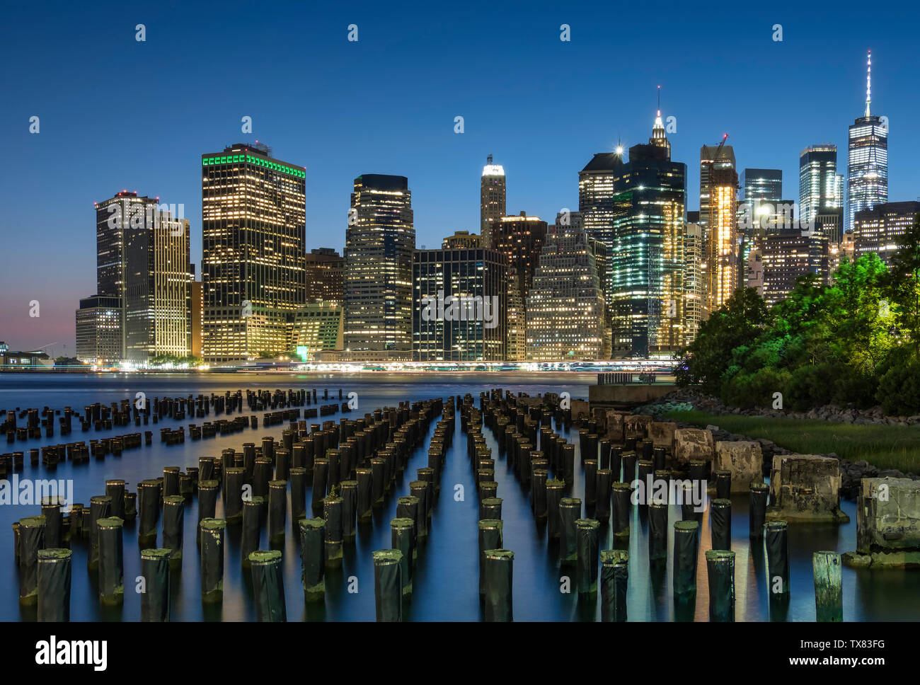 La skyline di Manhattan da Brooklyn Park di notte, New York, Stati Uniti d'America Foto Stock