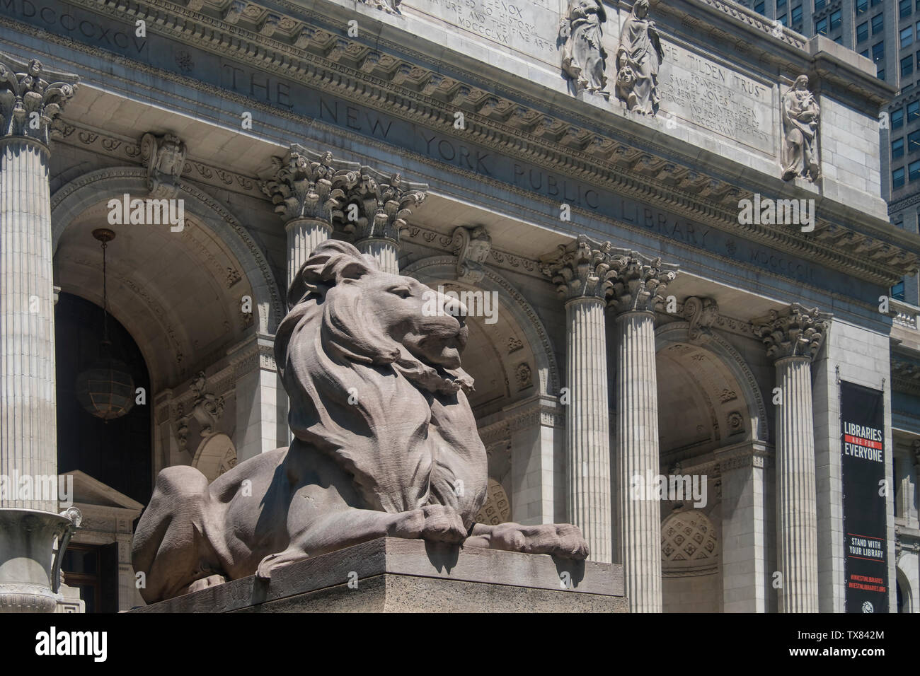 Ingresso alla Biblioteca Pubblica di New York, Manhattan, New York, Stati Uniti d'America Foto Stock