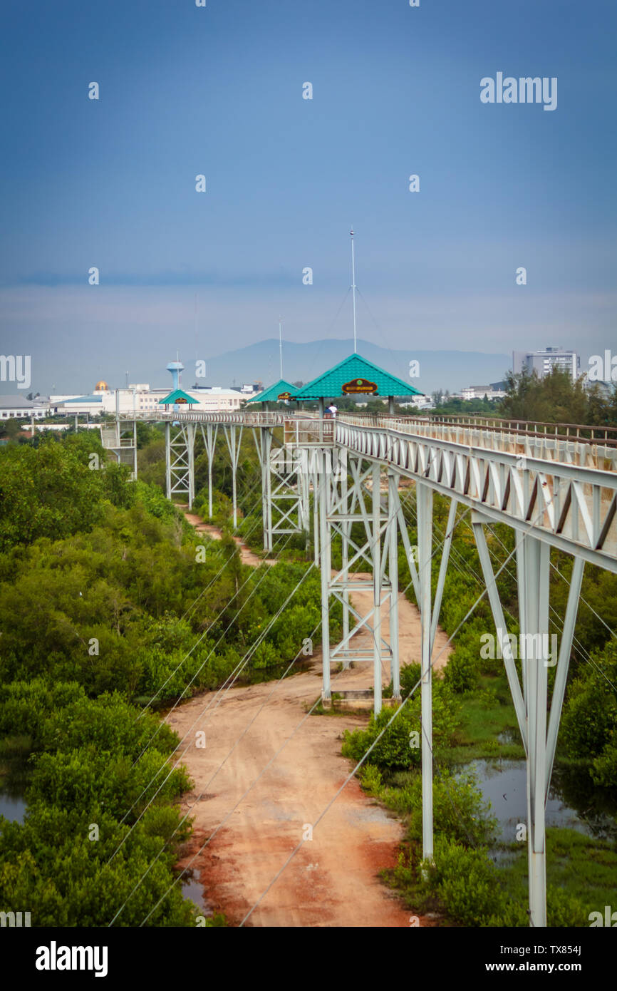 Il sentiero per lo Skywalk - Pattani, Thailandia Foto Stock