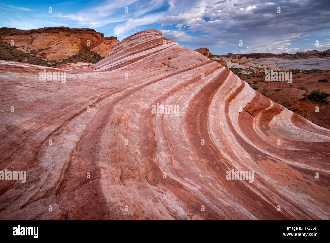 Linee fluide all'onda di fuoco, la Valle del Fuoco del parco statale, Nevada, STATI UNITI D'AMERICA Foto Stock