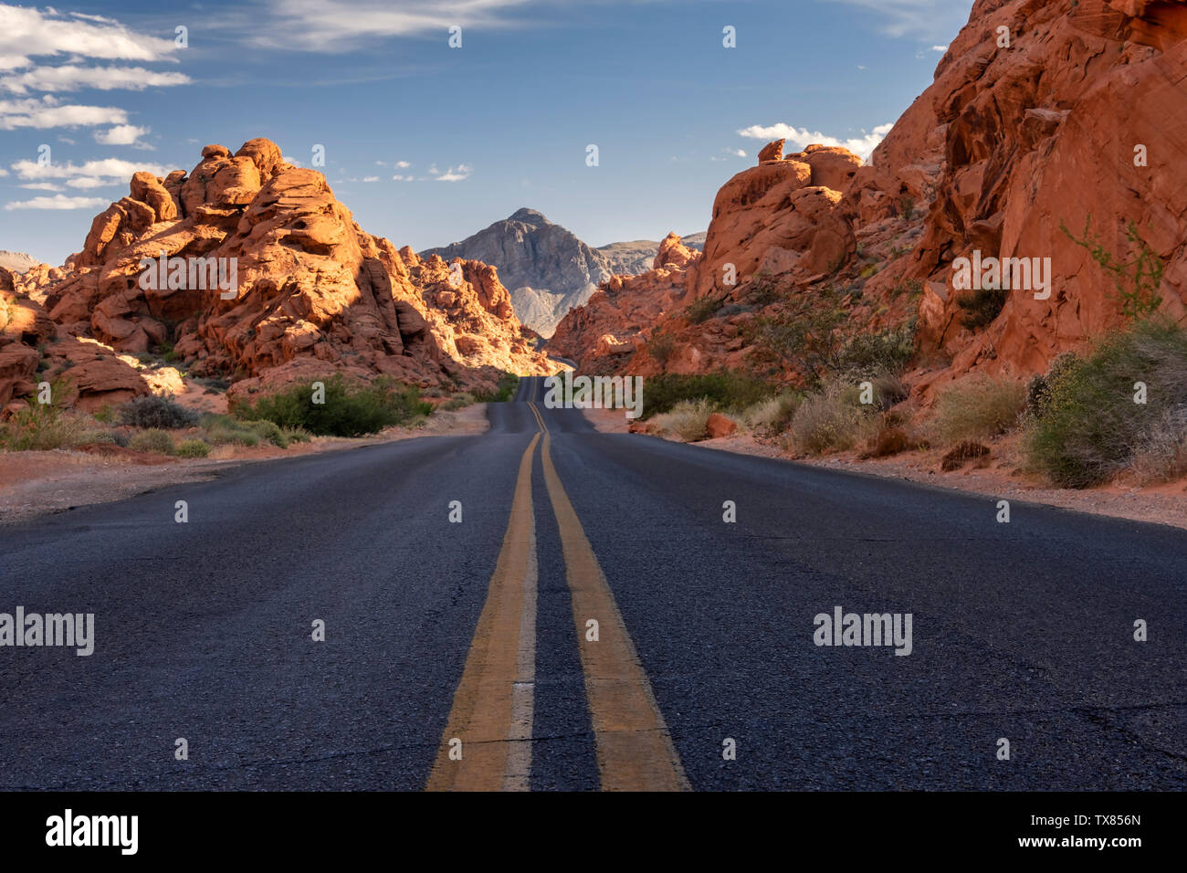 La luce della sera illumina la Highway attraverso il Parco della Valle di Fire State, Nevada, STATI UNITI D'AMERICA Foto Stock