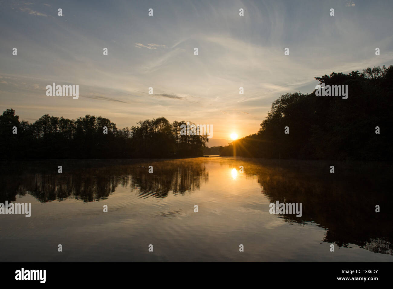Alba e tramonto su Salhouse ampia, il Parco Nazionale Broads del Norfolk, Maggio, visto da barca a barca vacanza, alba sul lago e alberi. Foto Stock
