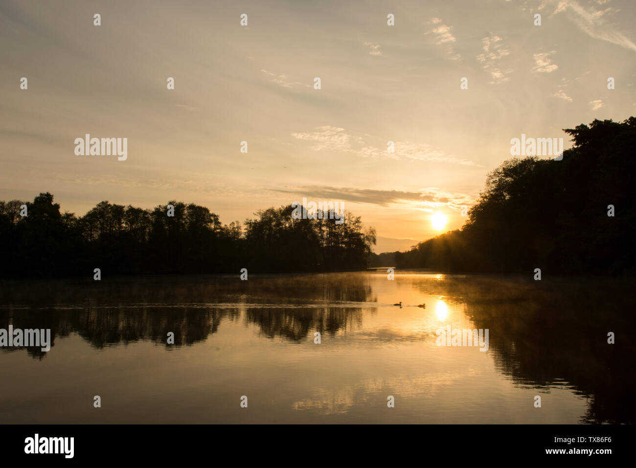 Alba e tramonto su Salhouse ampia, il Parco Nazionale Broads del Norfolk, Maggio, visto da barca a barca vacanza, alba sul lago e alberi. Foto Stock