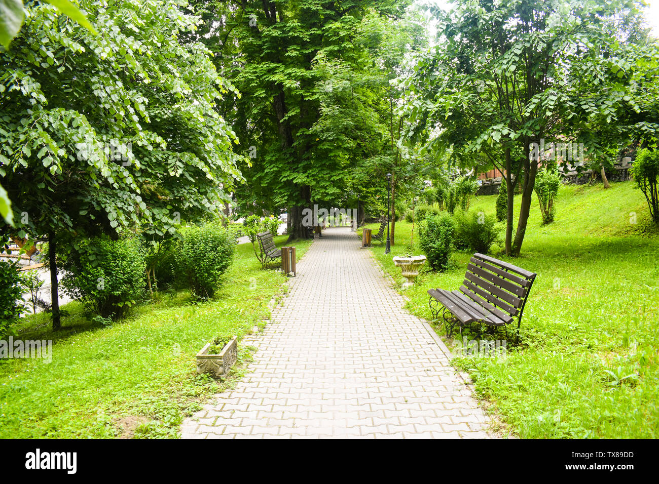 Pavimentazione in calcestruzzo sentiero nel verde parco della città con alberi verdi e banchi vuoti. Giardino in città urbana al mattino scena nella stagione estiva di Rom Foto Stock