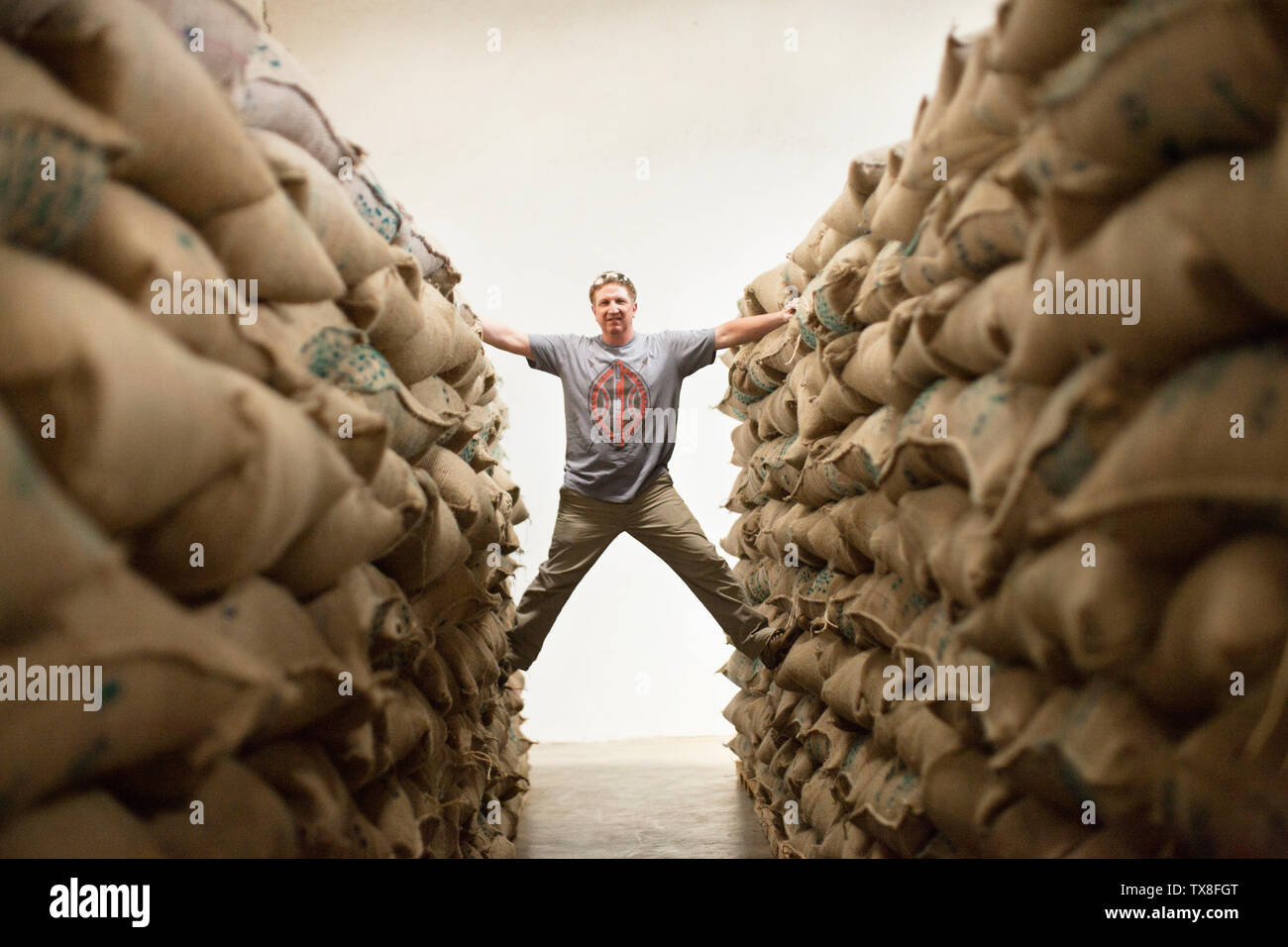 L'uomo pone per un ritratto come egli i saldi in un x-forma con le braccia e le gambe tese tra due righe di una pila piena hessian borse in un magazzino. Foto Stock