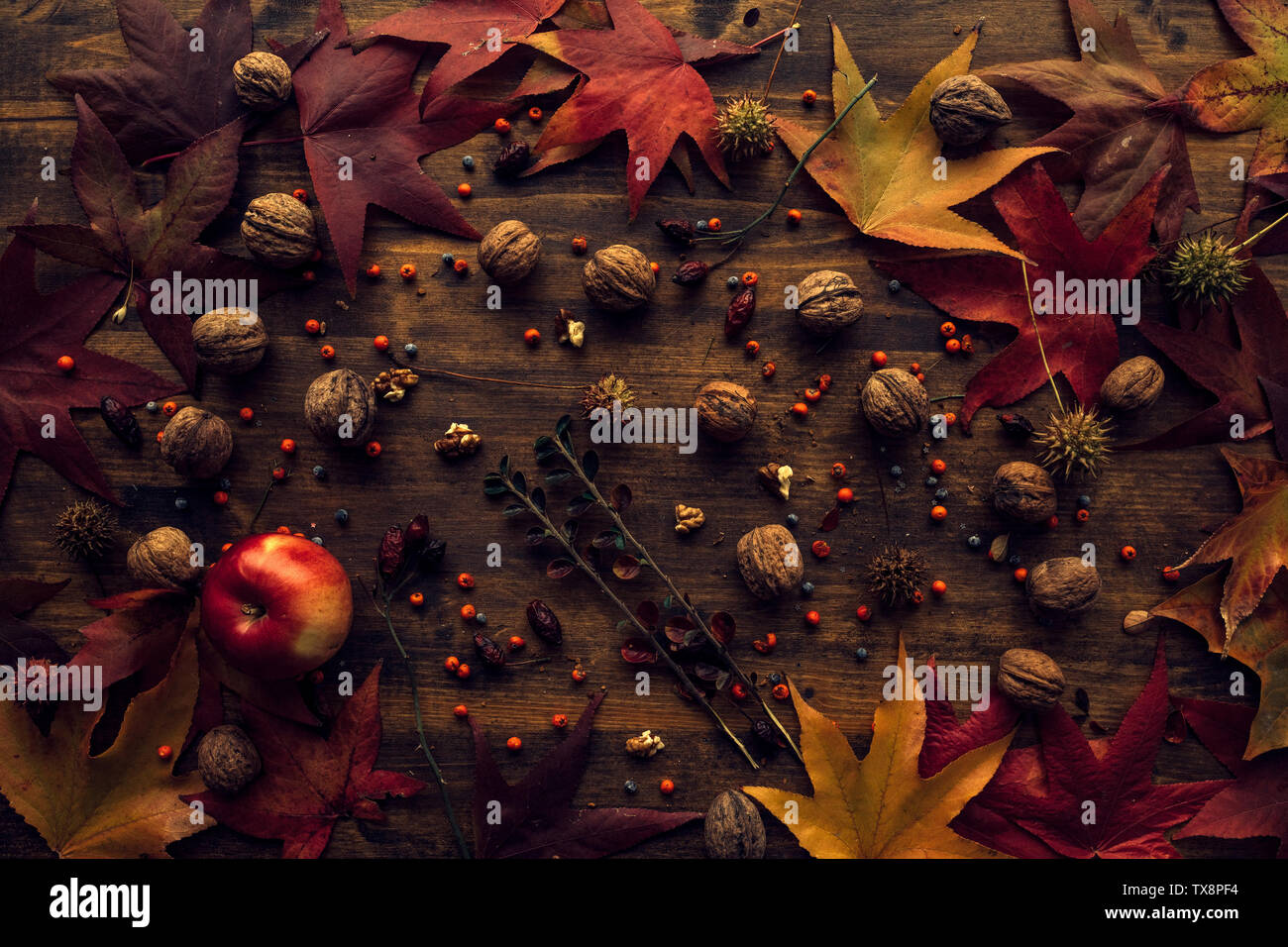 Foglie di autunno e frutta, vista dall'alto di toni rétro appartamento rustico disposizione dei laici Foto Stock