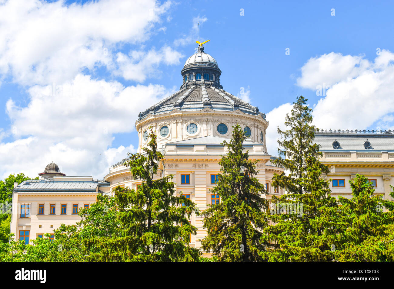 Il Palazzo Patriarcale verde con bellissimi giardini del parco in un giorno d'estate. Architettura neo-classica a Bucarest, in Romania. Foto Stock