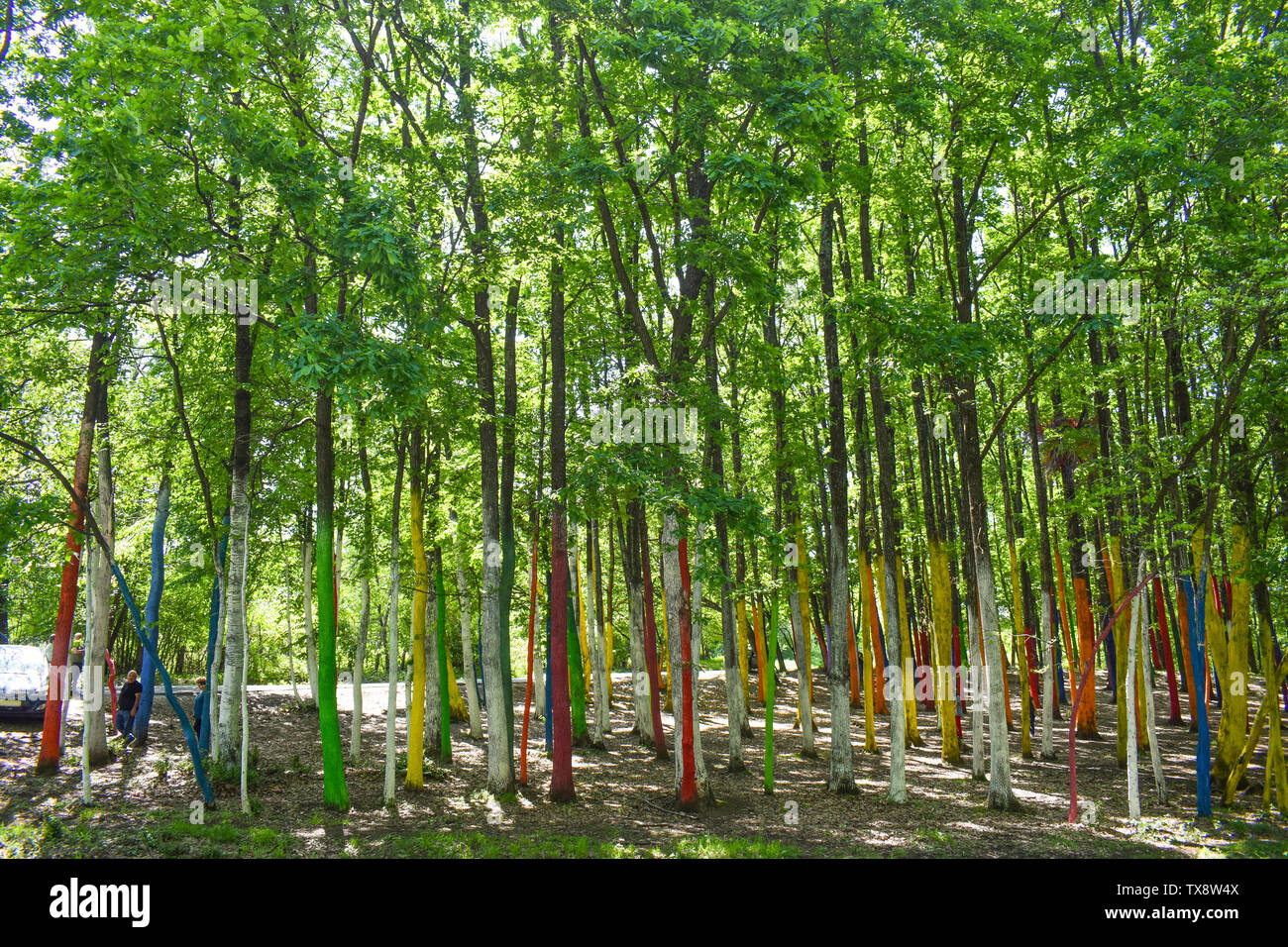 Ai turisti viene fornito per la colorata foresta o Padurea colorata. Poienari, Gorj contea, Romania - 19.05.2019 (3) Foto Stock