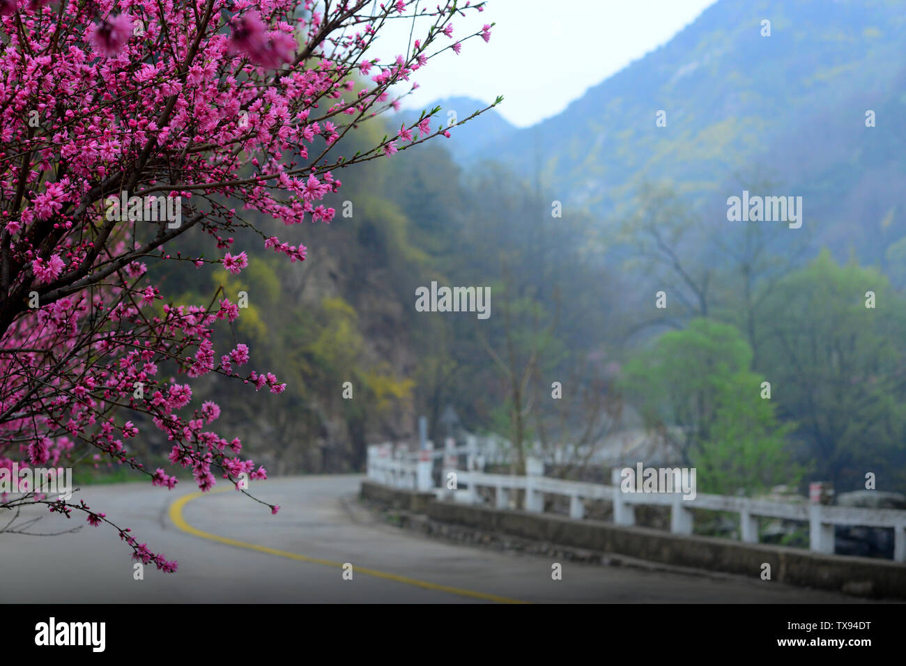 Un angolo di Taohuayu, Taishi Creek, Tai'an. Foto Stock