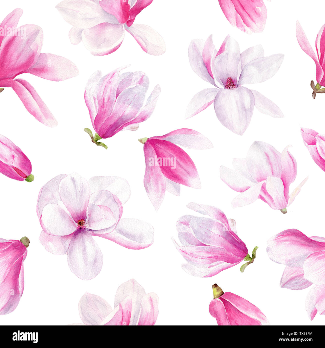 Fiore di Magnolia disegnati a mano acquerello seamless pattern. Blossom e bloom naturale texture raster. Colorati elementi floreali su sfondo bianco. Blosso Foto Stock