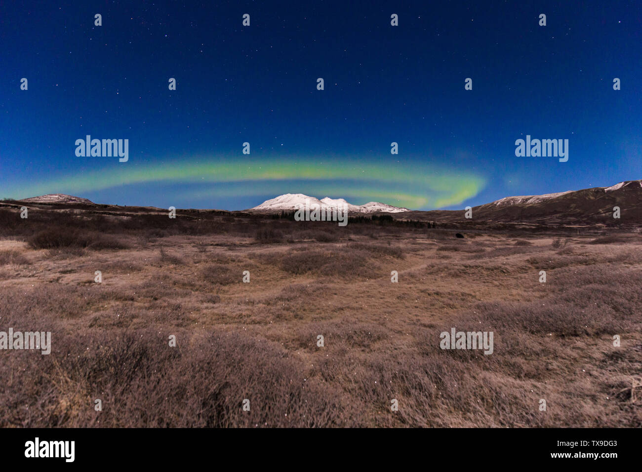 Islandese Aurora Foto Stock