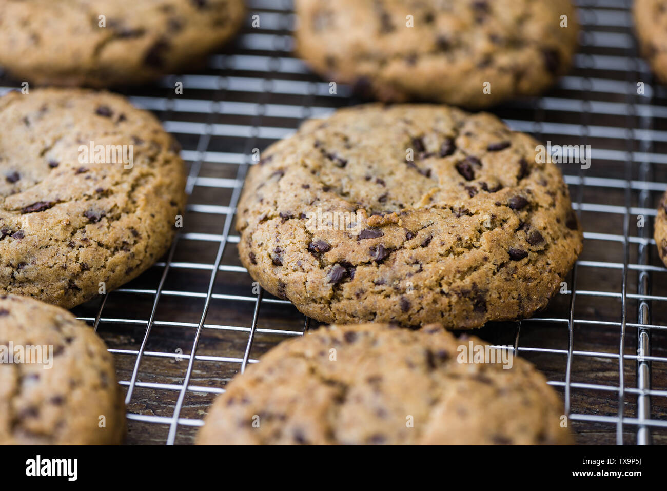 Appena sfornato biscotti al cioccolato sulla griglia di raffreddamento. Biscotti con aggiunta di dolcificanti. Dolci fatti in casa. Foto Stock