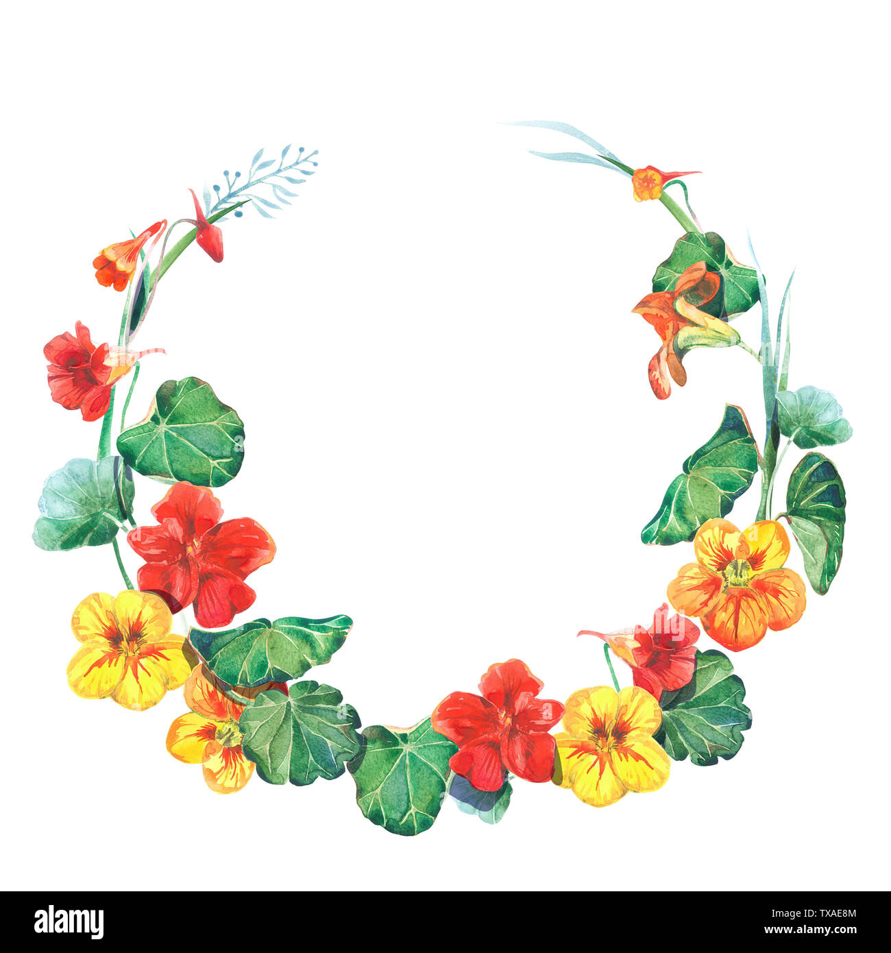 Acquerello cornice rotonda modello con fiori i Nasturzi Foto Stock