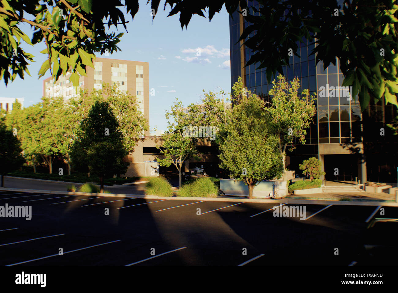 Ombre di sera Foto Stock