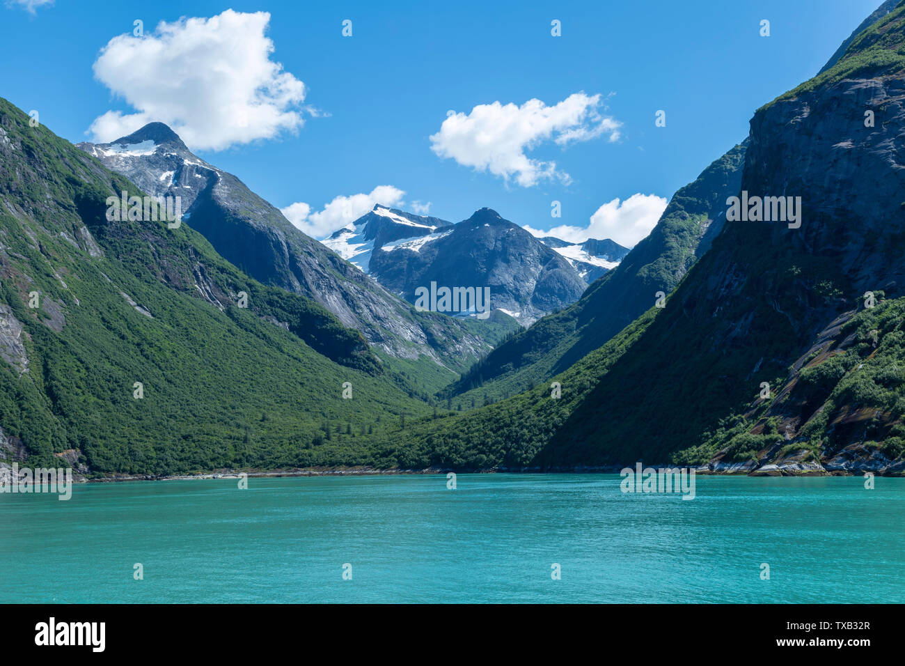Tracy Arm Fjord, Alaska Foto Stock