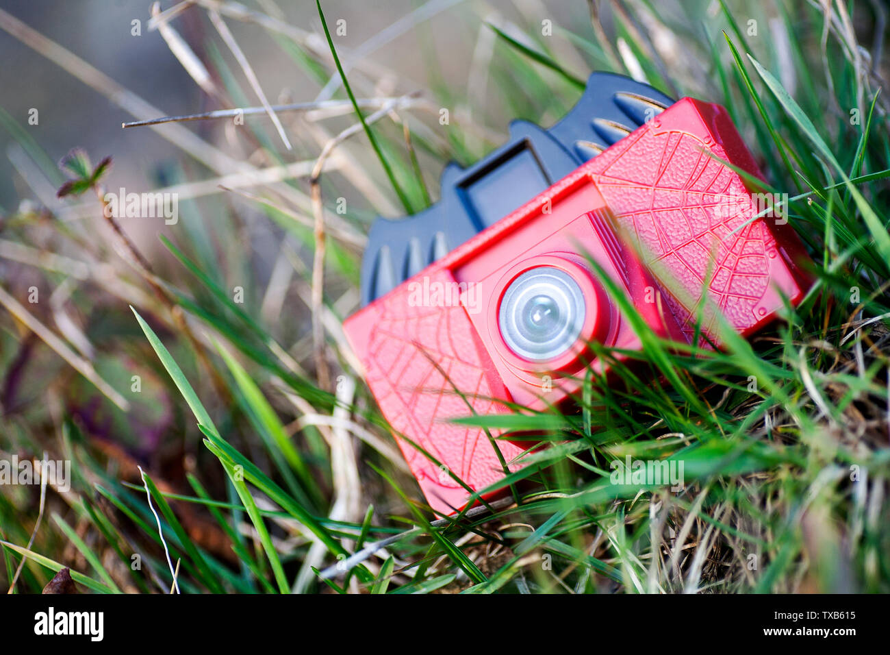 Fotocamera giocattolo sfondo macro arte in stampe di alta qualità cinquanta megapixel Foto Stock